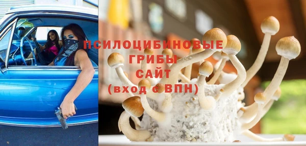 дурь Лабытнанги