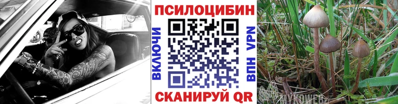 Галлюциногенные грибы Magic Shrooms  Александров 